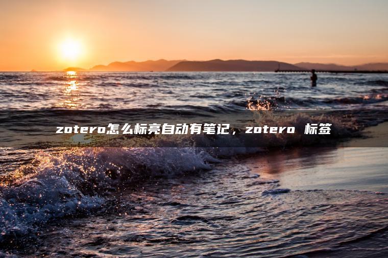 zotero怎么标亮自动有笔记，zotero 标签