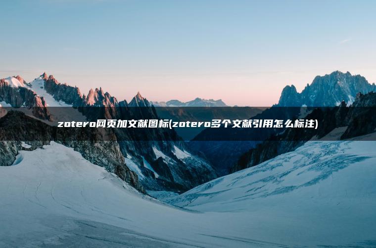 zotero网页加文献图标(zotero多个文献引用怎么标注)