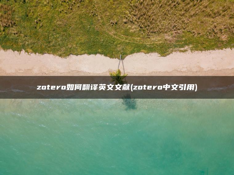 zotero如何翻译英文文献(zotero中文引用)