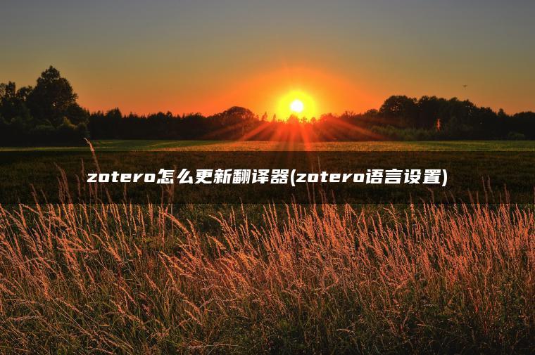 zotero怎么更新翻译器(zotero语言设置)