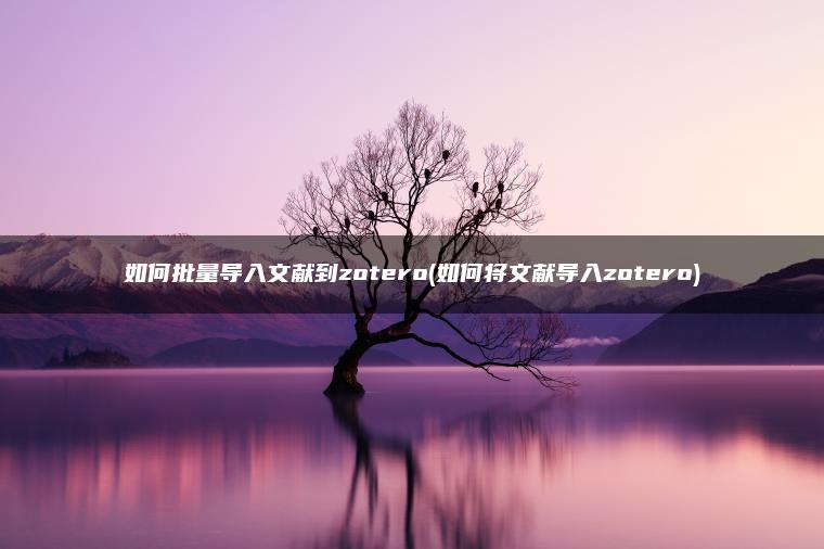 如何批量导入文献到zotero(如何将文献导入zotero)