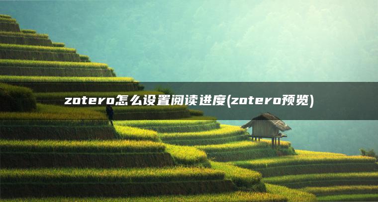 zotero怎么设置阅读进度(zotero预览)