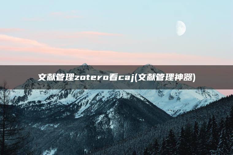 文献管理zotero看caj(文献管理神器)