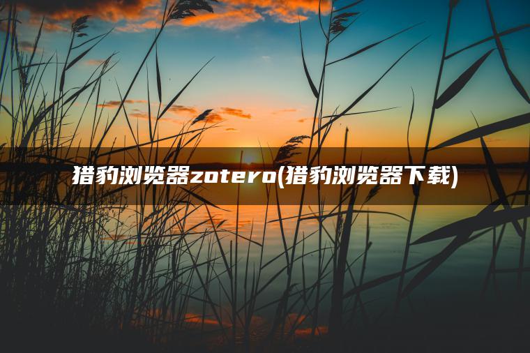 猎豹浏览器zotero(猎豹浏览器下载)