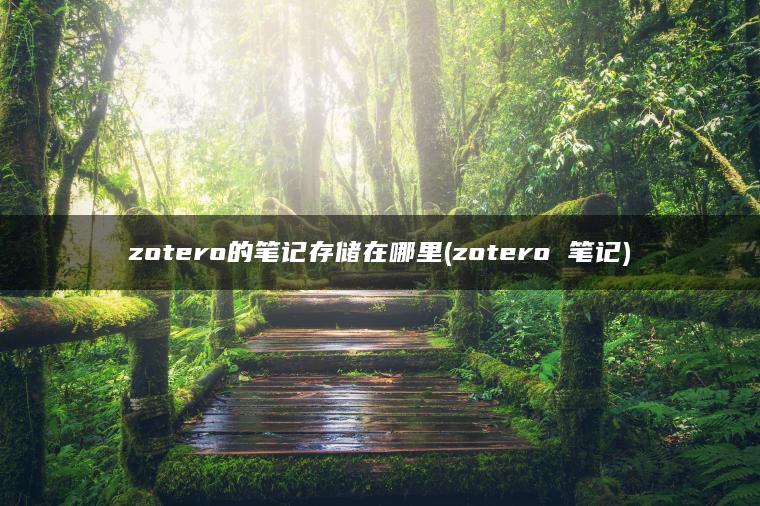 zotero的笔记存储在哪里(zotero 笔记)