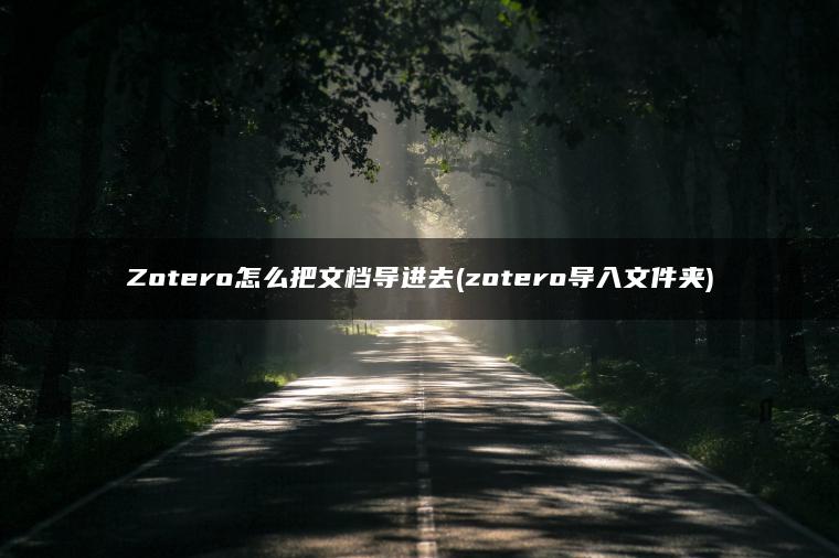 Zotero怎么把文档导进去(zotero导入文件夹)