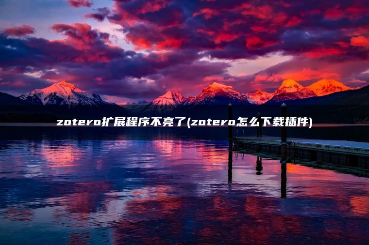 zotero扩展程序不亮了(zotero怎么下载插件)