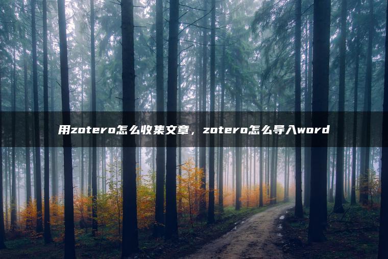 用zotero怎么收集文章，zotero怎么导入word