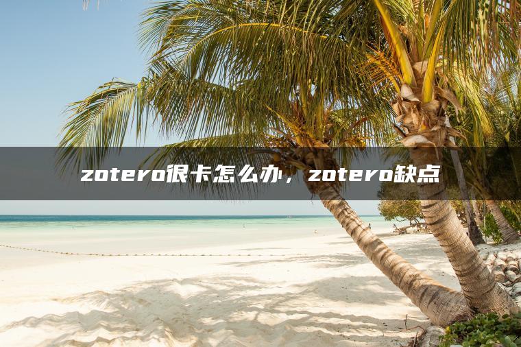 zotero很卡怎么办，zotero缺点