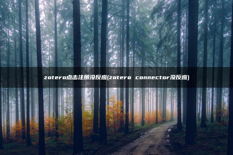 zotero点击注册没反应(zotero connector没反应)