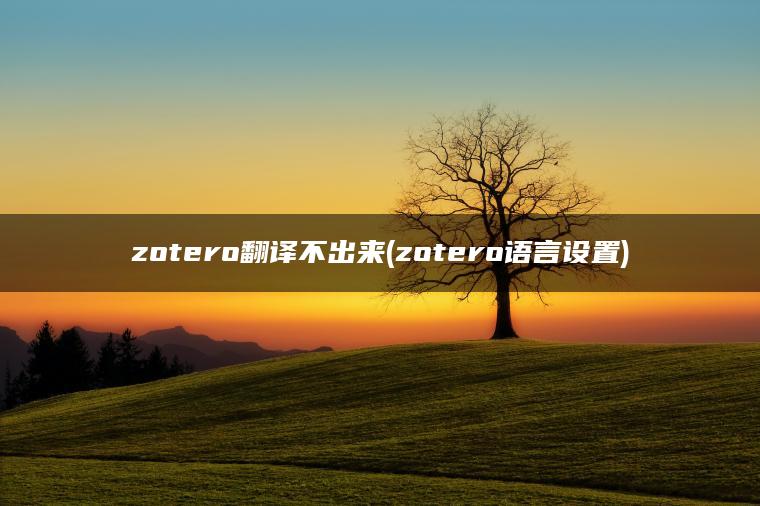 zotero翻译不出来(zotero语言设置)