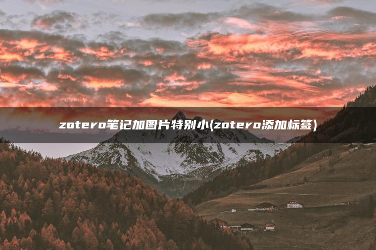 zotero笔记加图片特别小(zotero添加标签)