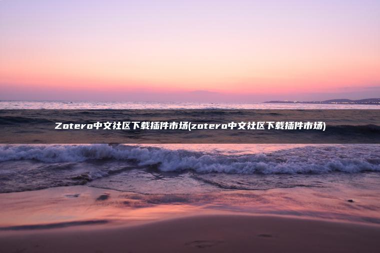 Zotero中文社区下载插件市场(zotero中文社区下载插件市场)