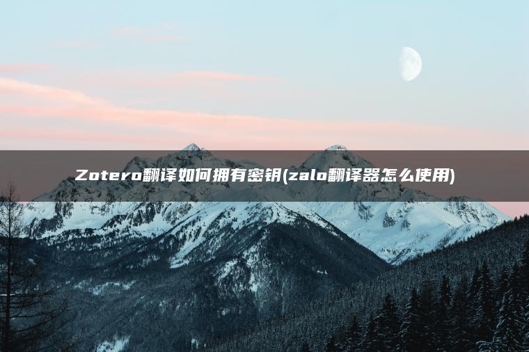 Zotero翻译如何拥有密钥(zalo翻译器怎么使用)