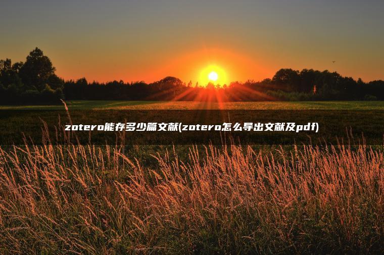 zotero能存多少篇文献(zotero怎么导出文献及pdf)