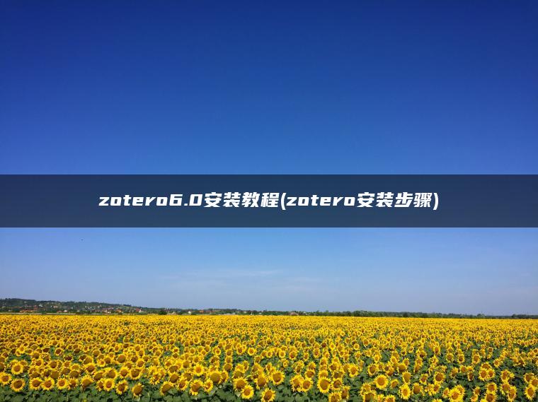 zotero6.0安装教程(zotero安装步骤)