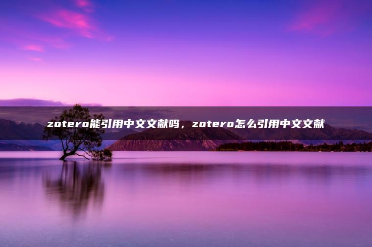 zotero能引用中文文献吗，zotero怎么引用中文文献
