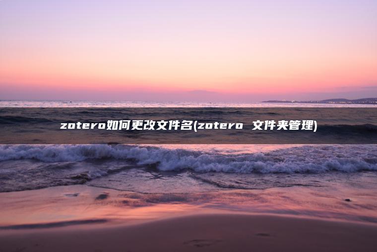 zotero如何更改文件名(zotero 文件夹管理)