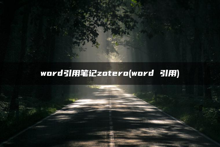 word引用笔记zotero(word 引用)