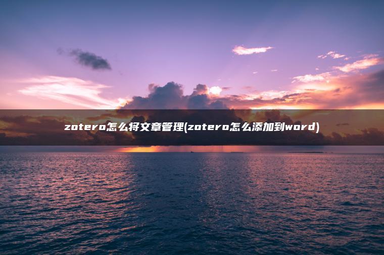 zotero怎么将文章管理(zotero怎么添加到word)