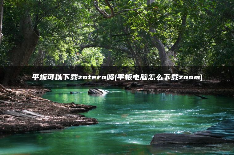 平板可以下载zotero吗(平板电脑怎么下载zoom)