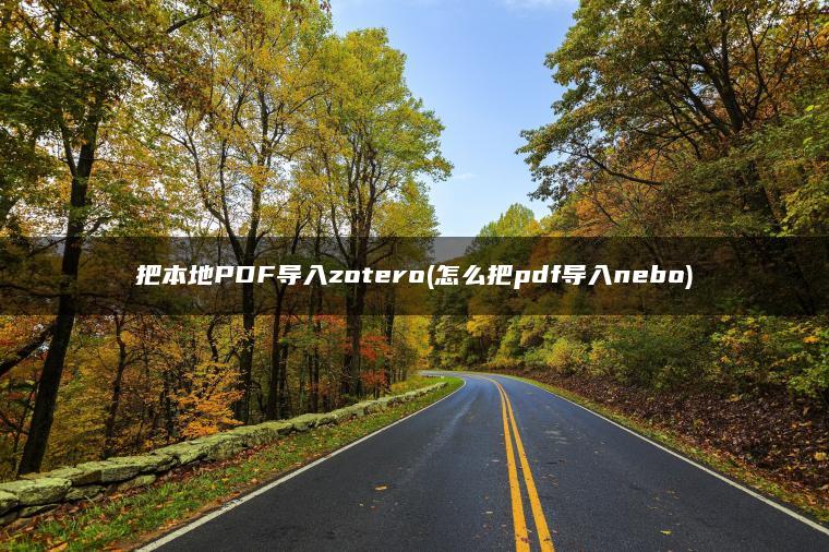 把本地PDF导入zotero(怎么把pdf导入nebo)