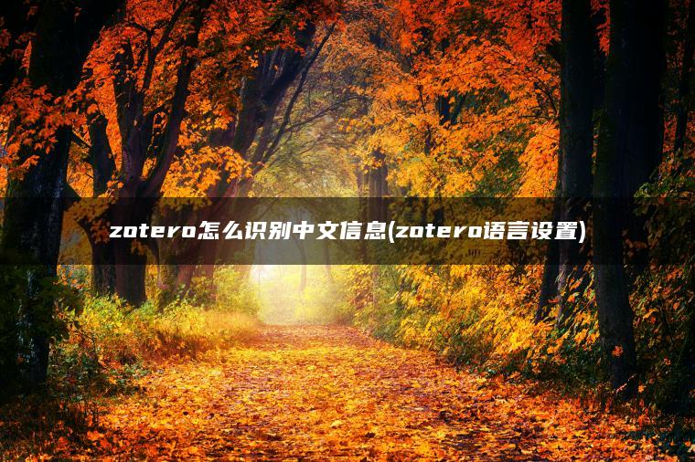 zotero怎么识别中文信息(zotero语言设置)