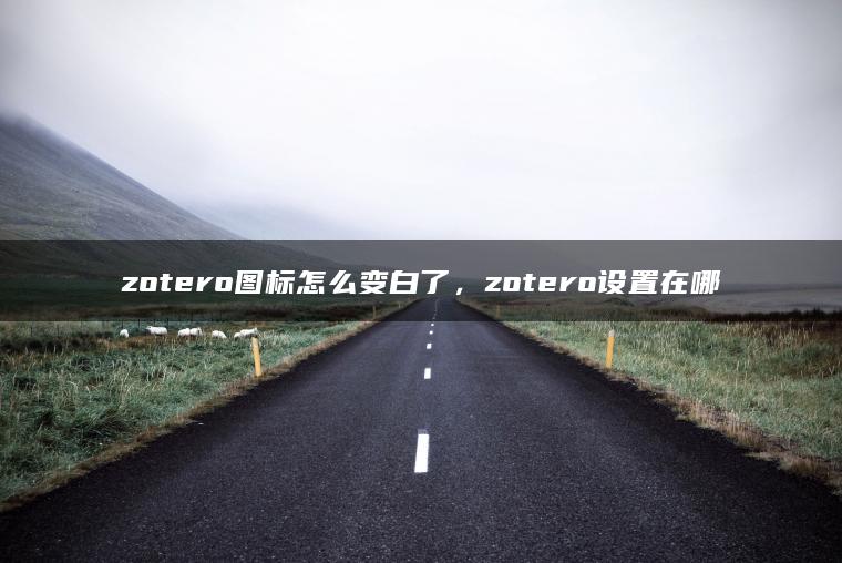 zotero图标怎么变白了，zotero设置在哪