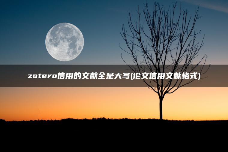 zotero信用的文献全是大写(论文信用文献格式)