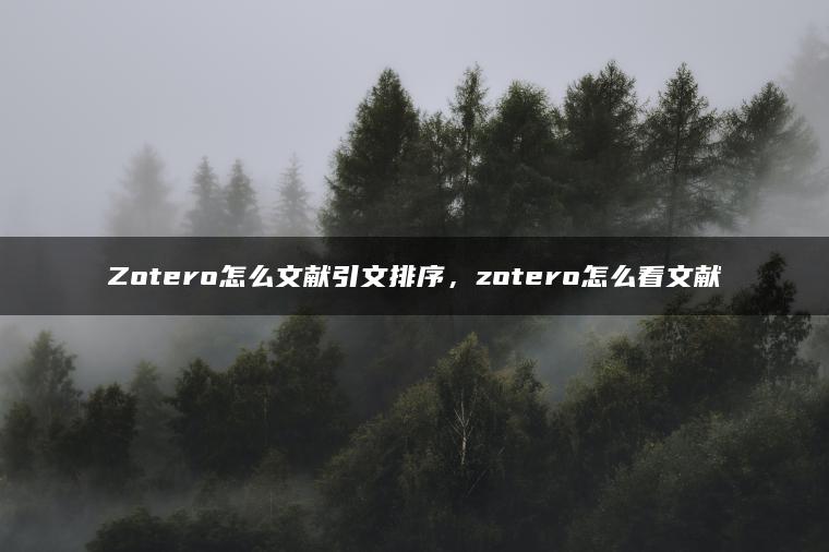 Zotero怎么文献引文排序，zotero怎么看文献