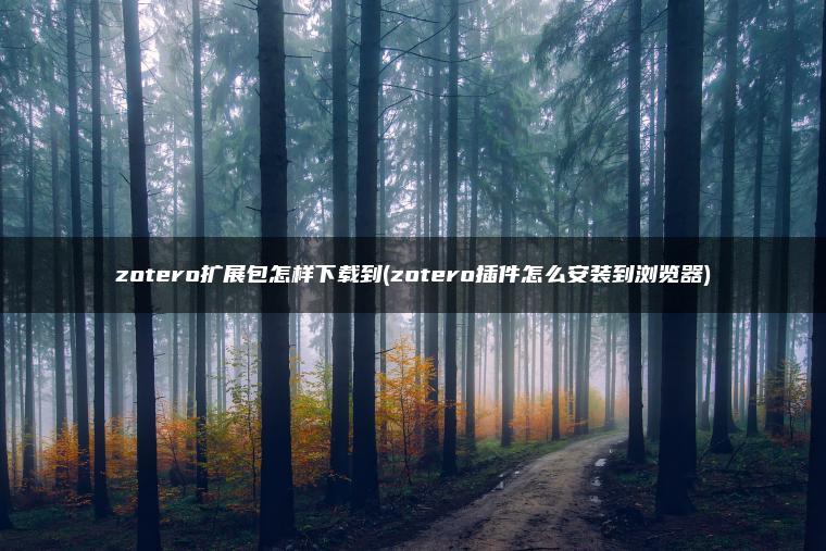 zotero扩展包怎样下载到(zotero插件怎么安装到浏览器)