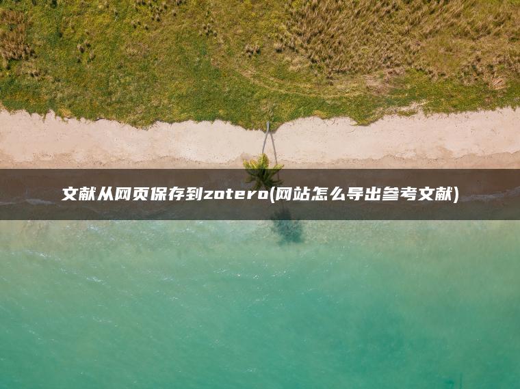 文献从网页保存到zotero(网站怎么导出参考文献)