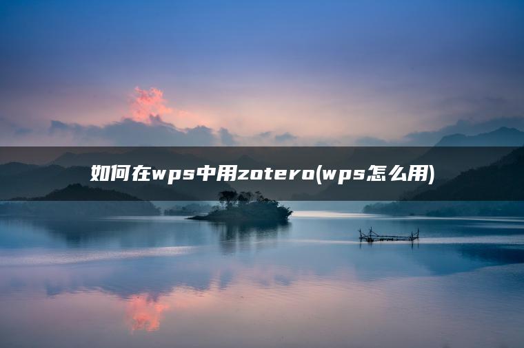 如何在wps中用zotero(wps怎么用)