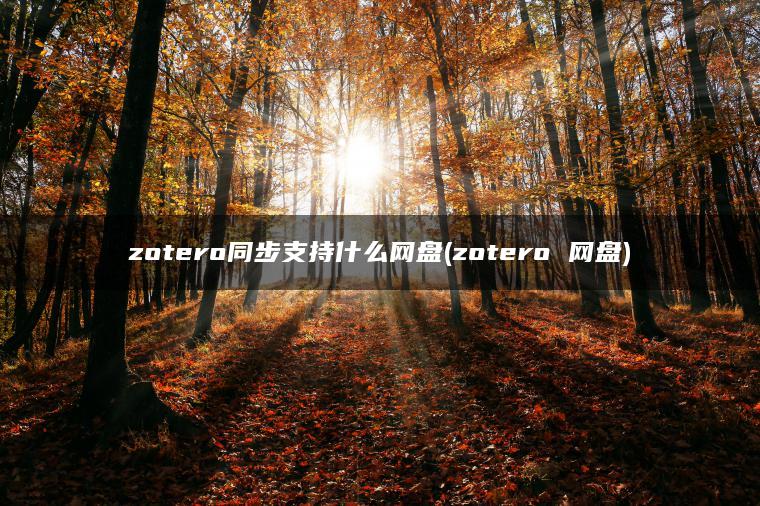 zotero同步支持什么网盘(zotero 网盘)