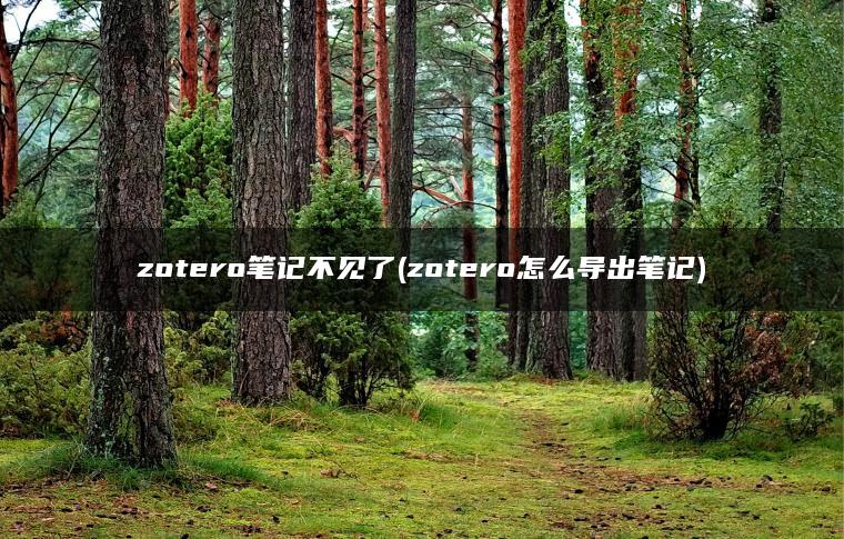 zotero笔记不见了(zotero怎么导出笔记)