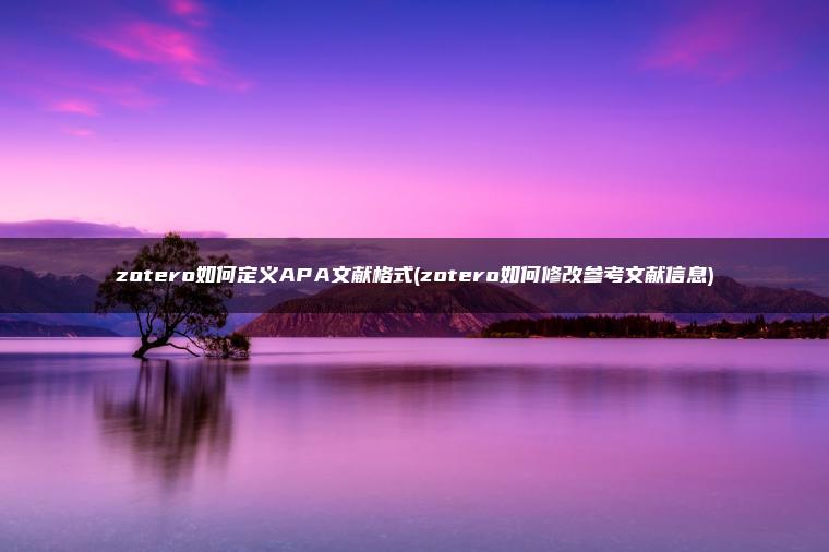 zotero如何定义APA文献格式(zotero如何修改参考文献信息)