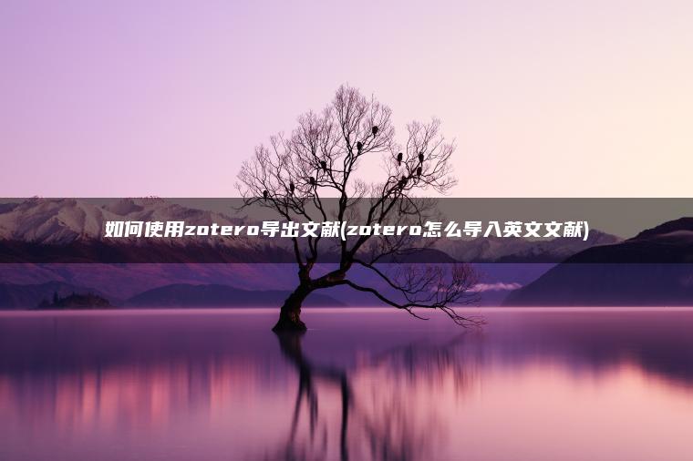 如何使用zotero导出文献(zotero怎么导入英文文献)