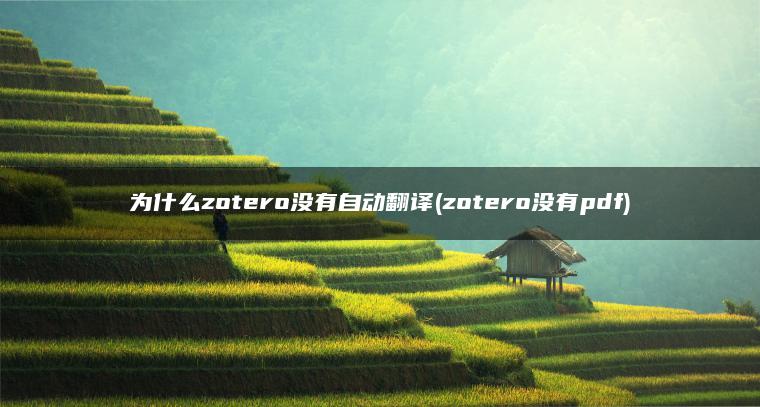 为什么zotero没有自动翻译(zotero没有pdf)