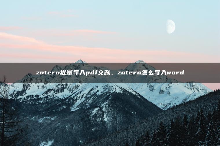 zotero批量导入pdf文献，zotero怎么导入word