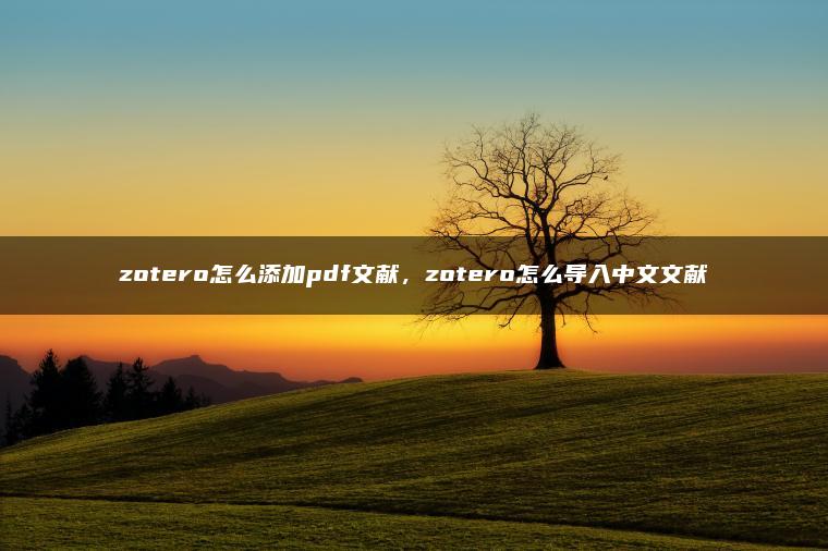 zotero怎么添加pdf文献，zotero怎么导入中文文献