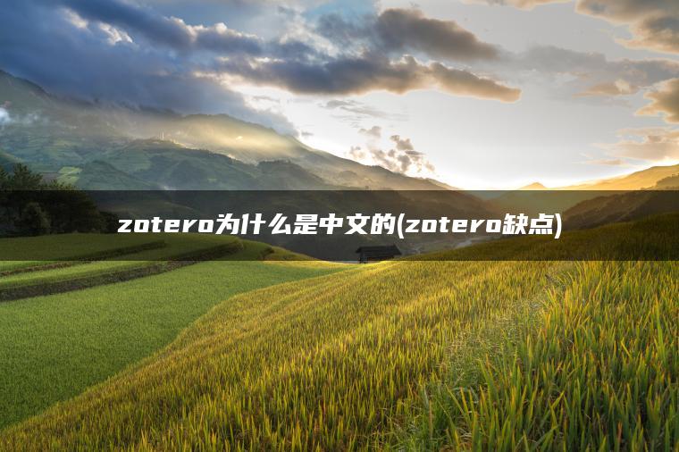zotero为什么是中文的(zotero缺点)