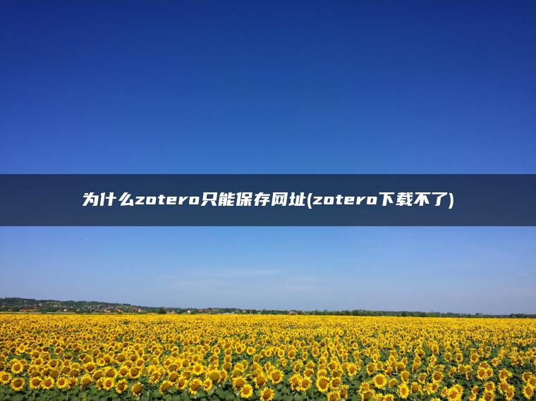 为什么zotero只能保存网址(zotero下载不了)