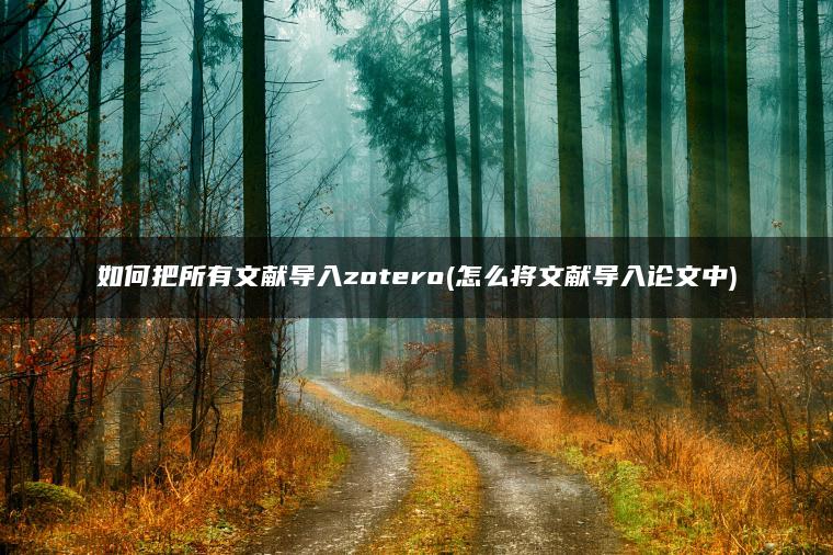 如何把所有文献导入zotero(怎么将文献导入论文中)