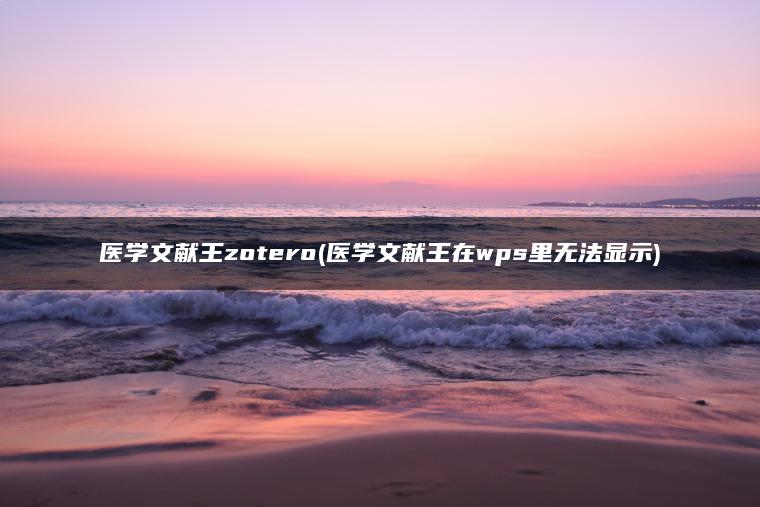 医学文献王zotero(医学文献王在wps里无法显示)