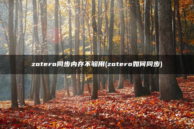 zotero同步内存不够用(zotero如何同步)