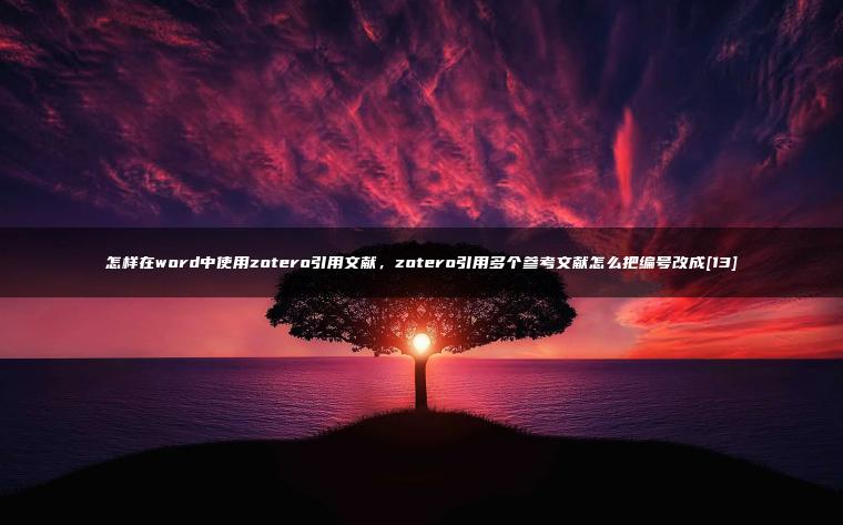 怎样在word中使用zotero引用文献，zotero引用多个参考文献怎么把编号改成[13]