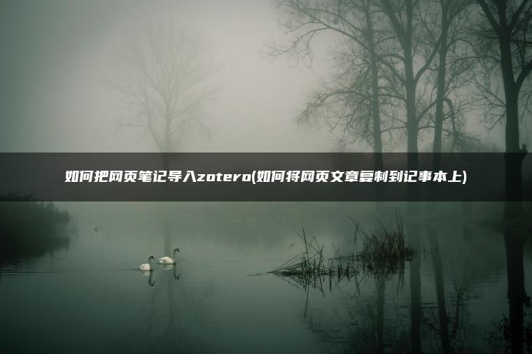 如何把网页笔记导入zotero(如何将网页文章复制到记事本上)