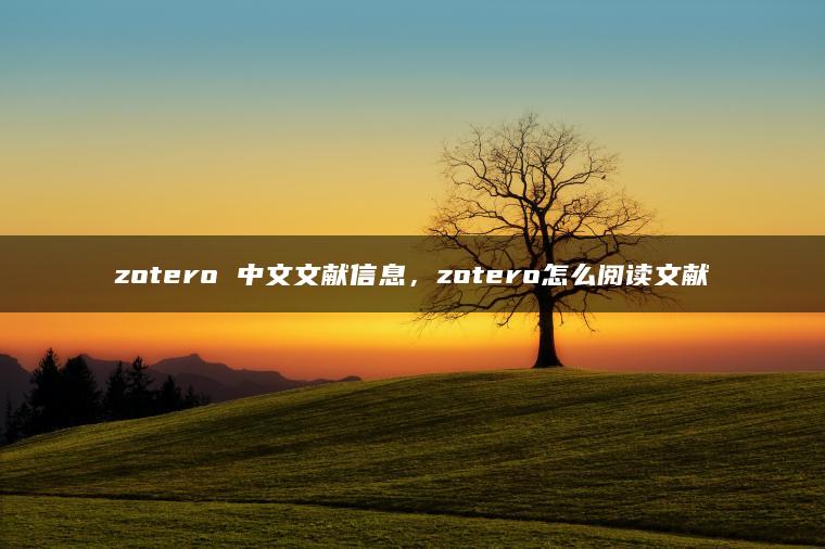 zotero 中文文献信息，zotero怎么阅读文献