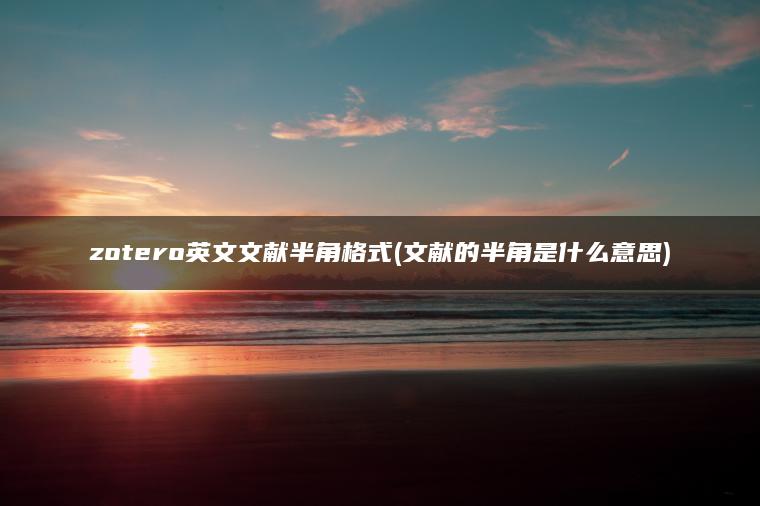 zotero英文文献半角格式(文献的半角是什么意思)