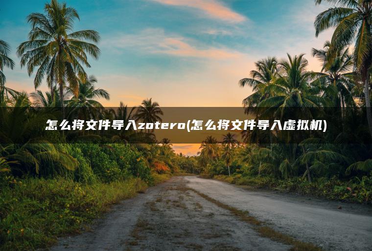 怎么将文件导入zotero(怎么将文件导入虚拟机)
